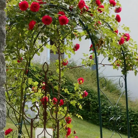 Arberblick アパート ラム