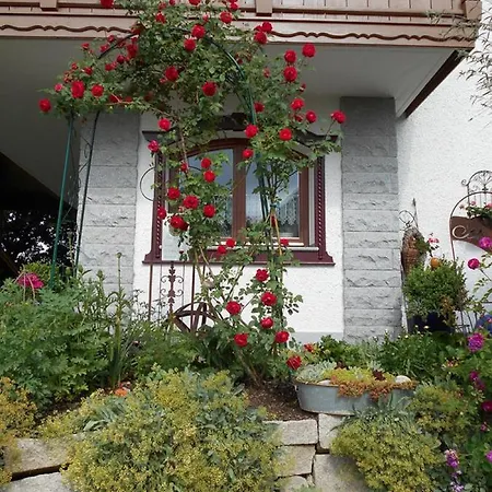 Arberblick Apartment *